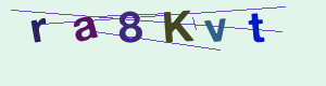 captcha img