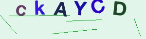 captcha img