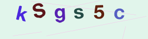captcha img