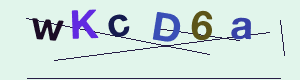 captcha img