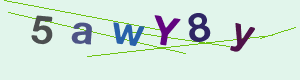 captcha img