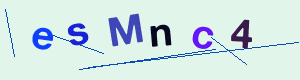 captcha img